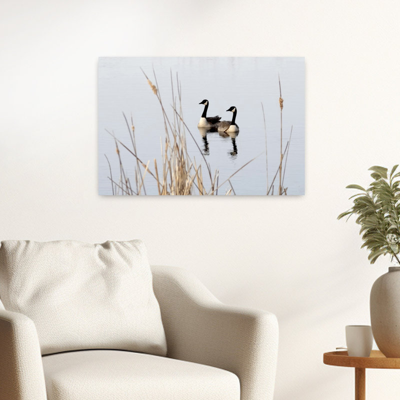 Print, 40.64cm H x 60.96cm W