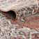 Weingartner Oriental Indoor Rug