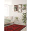 Tapis rouge en laine noué à la main de conception unique 3 pi 2 po x 4 pi 10 po Iretemi