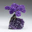 Medium Amethyst Clustered Gemstone Tree on Amethyst Matrix (The Protection Tree)
