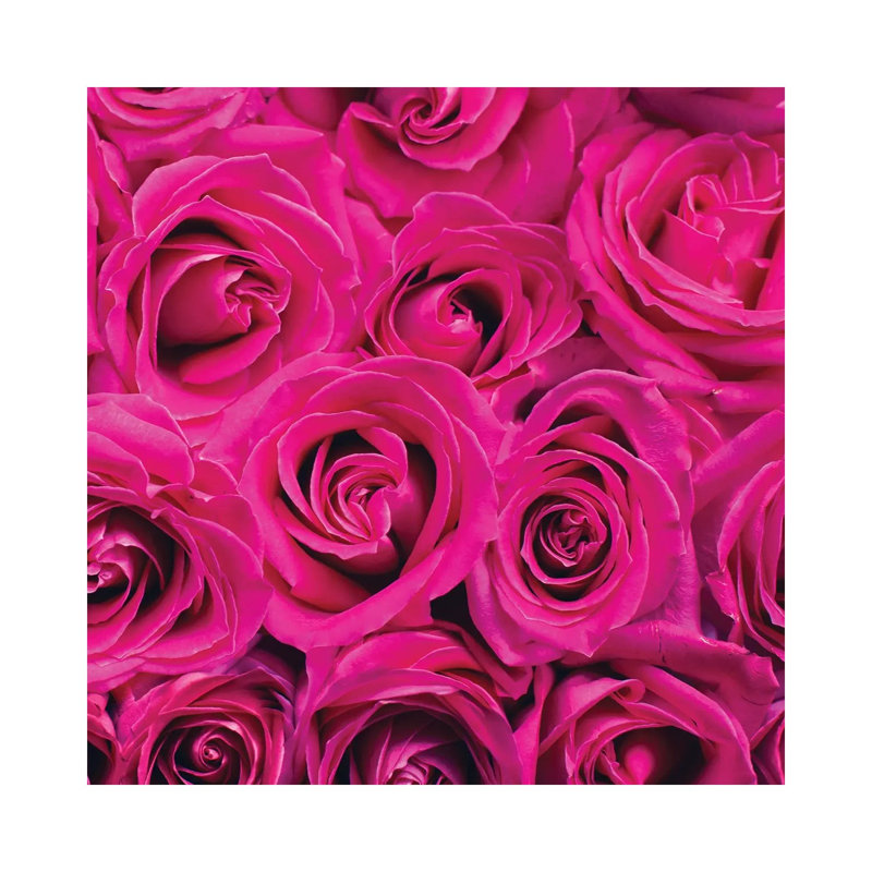 Paris Rose III by Kimberly Allen - Wrapped Canvas Print, 93.98 cm H x 93.98 cm W x 1.91 cm D