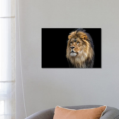 Majestic 1 Piece Wrapped Canvas Wall Art