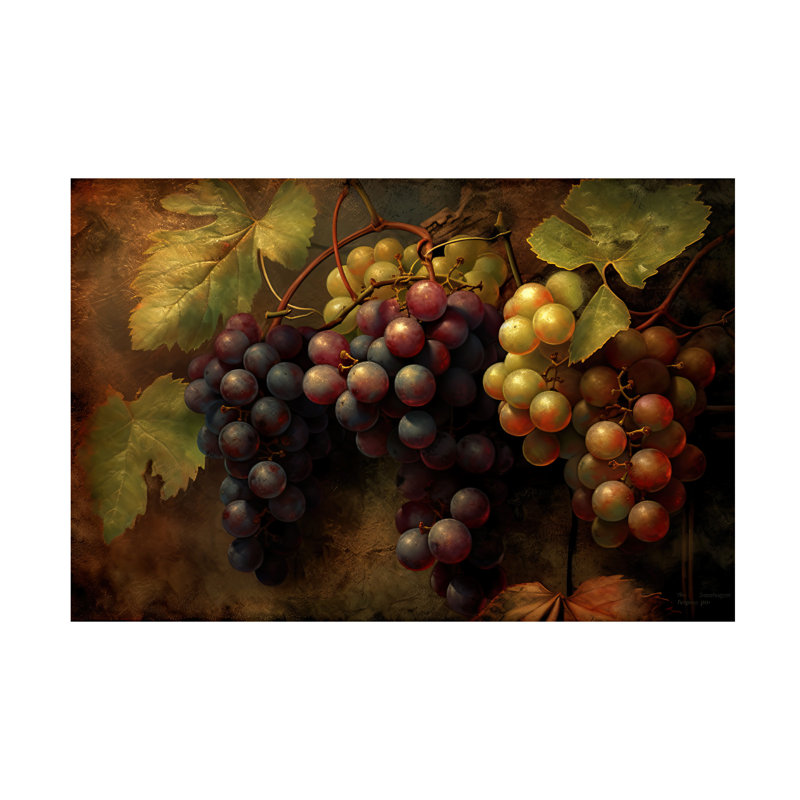 Art sur toile Sasha Grapes III, H 16 po x l 24 po