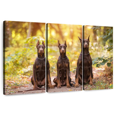 Brampt Doberman Pinschers