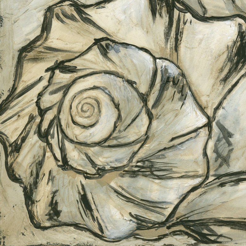 Seashell Spiral I - Wrapped Canvas Painting, 76cm H x 76cm W