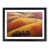 Black Framed selected