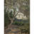 A Tree. Study-1453677591