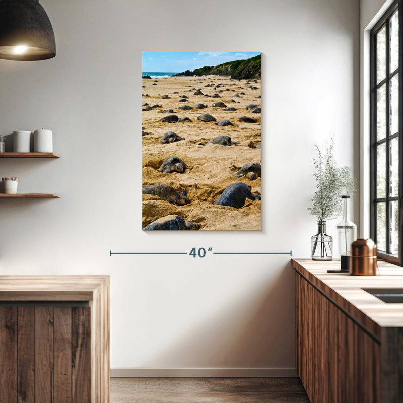 Brampt Nesting Turtles, 39" H x 26" W