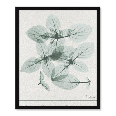 Jeanette "Basil Ocimum Basilicum" Painting