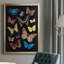 Collectionner Flutter IV encadré sur papier-952381094-952381090