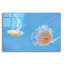 «Jellyfish Dance 2» par Lori Deiter, art mural en verre acrylique