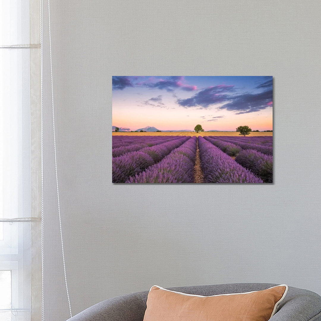 Valensole Sunset, Provence, France by Jim Nilsen - Wrapped Canvas Print