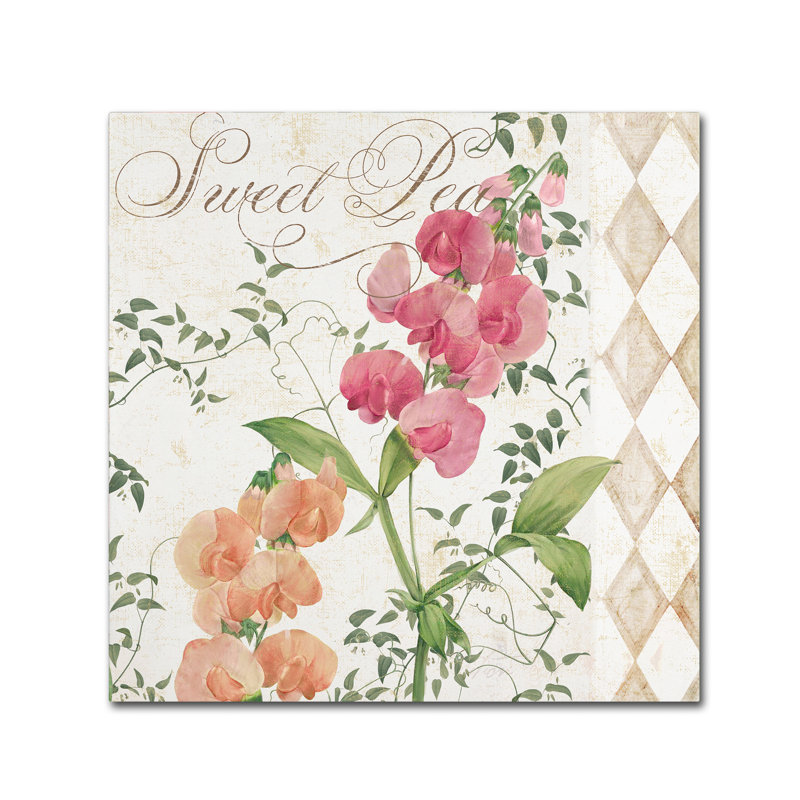 Jadaya «Sweet Pea» par Color Bakery, impression sur toile tendue, H 24 po x l 24 po x P 2 po
