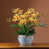 Jaune