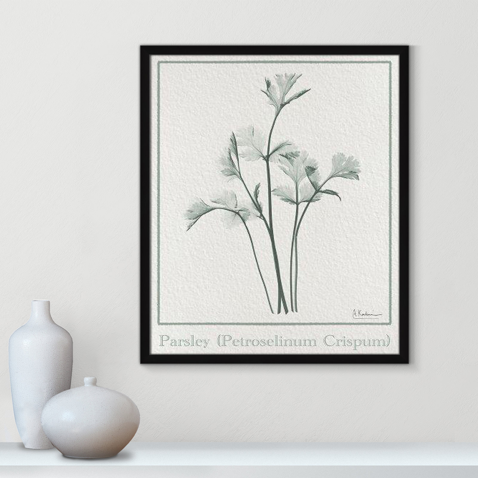 Jeanette "Parsley II" Print by Albert Koetsier, 25.5" H x 21.5" W x 1.25" D, Satin Black Framed Paper