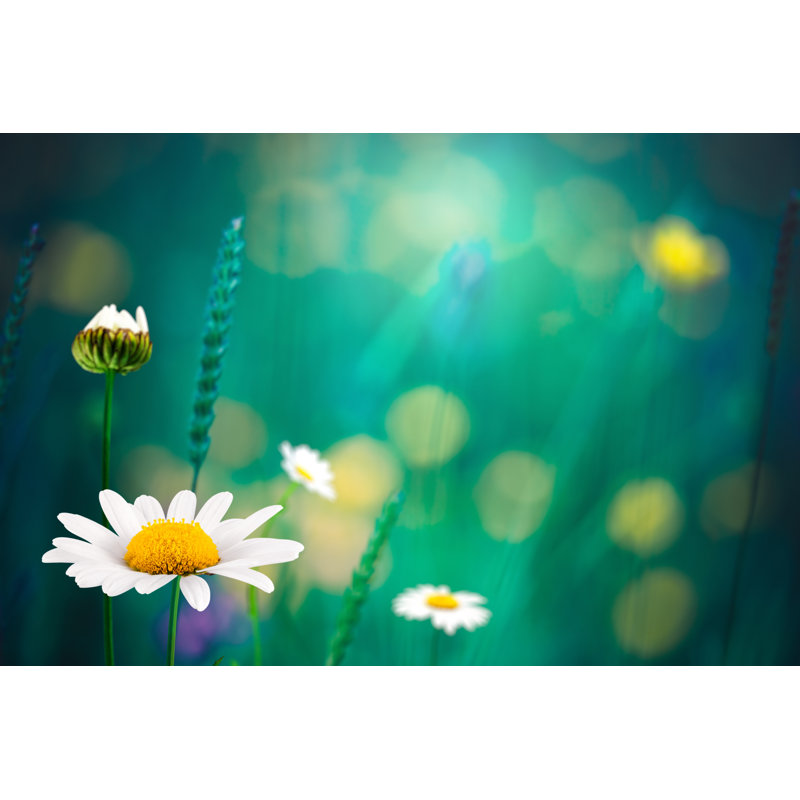 Summer Meadow by Borchee - Print, 20cm H x 30cm W