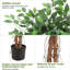 Arrangement