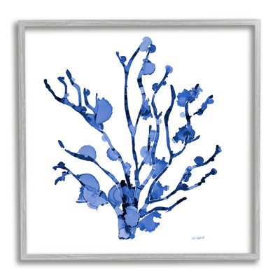 Détail de la vie marine de corail