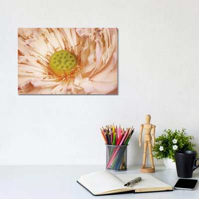 Peaches and Cream 1 Piece Wrapped Canvas Wall Art
