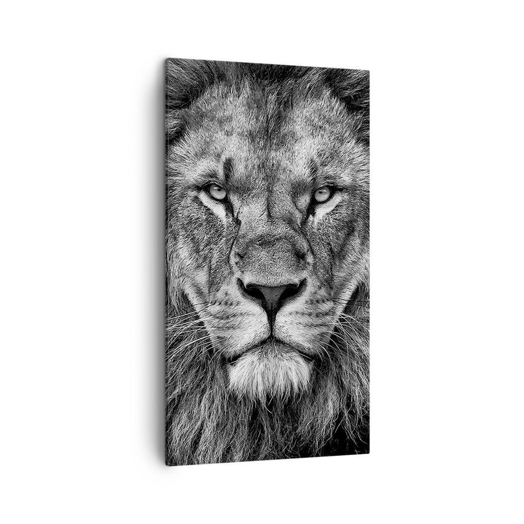 Leinwandbild Portrait Lion Black and White