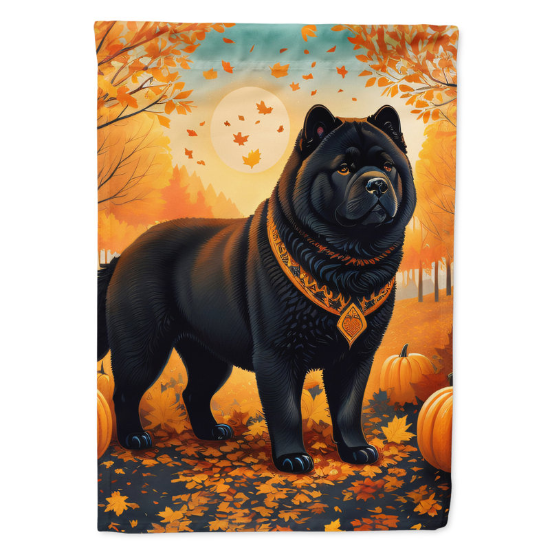 Double Sided 40'' H x 28'' W Polyester House Flag