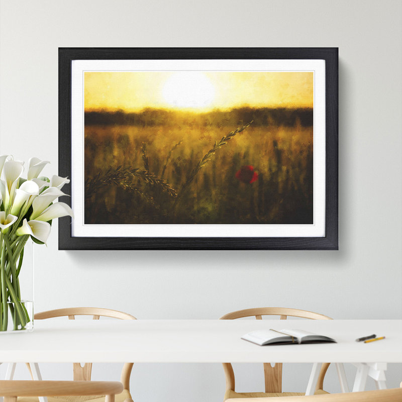 Poppy in a Meadow - Framed Print, 48cm H x 65cm W x 2cm D, Black Framed