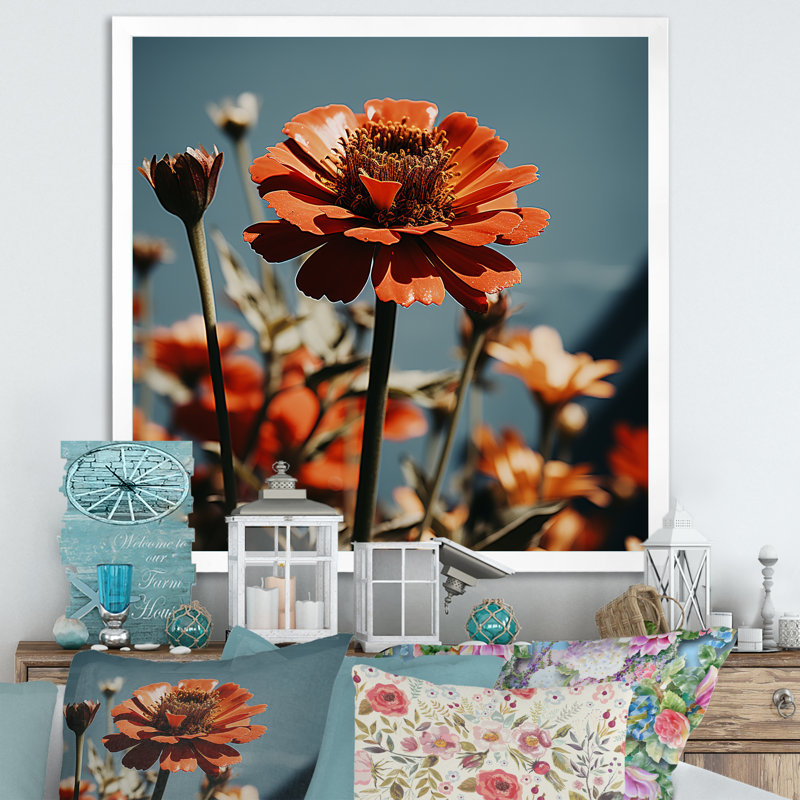 Rayon rouge Zinnias - art mural Zinnias, Cadre simple blanc, H 16 po x l 16 po x P 1 po