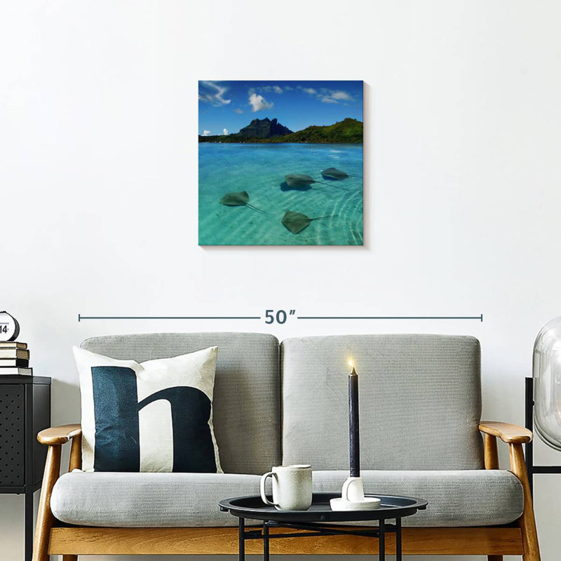 Brampt Bora Bora Stingrays, 20" H x 20" W