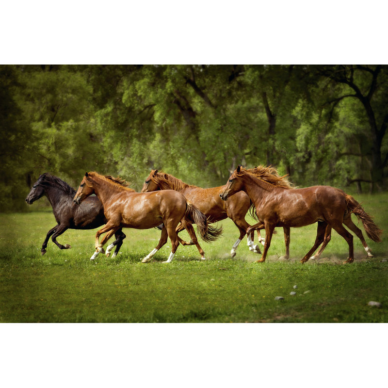 Chevaux dans le champ III, H 20 po x l 30 po x P 1,25 po
