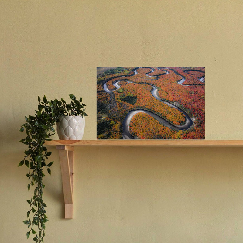 Forêt d'automne sinueuse avec un oranger vibrant et coloré, une œuvre d'art murale, 16" H x 24" W