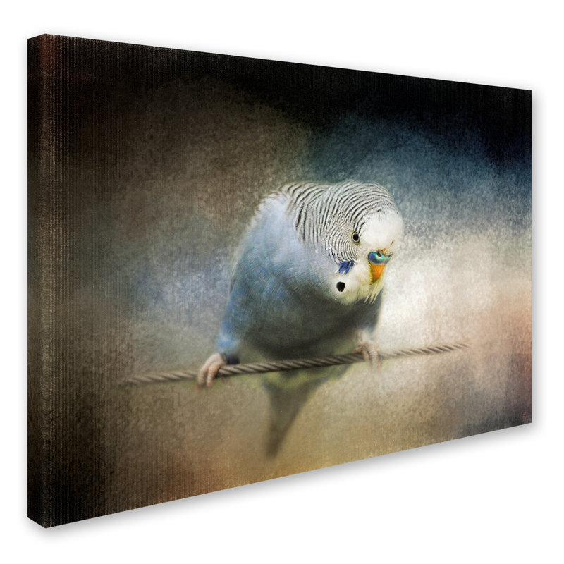 Vidur «Budgie 3», impression sur toile tendue, H 24 po x l 32 po