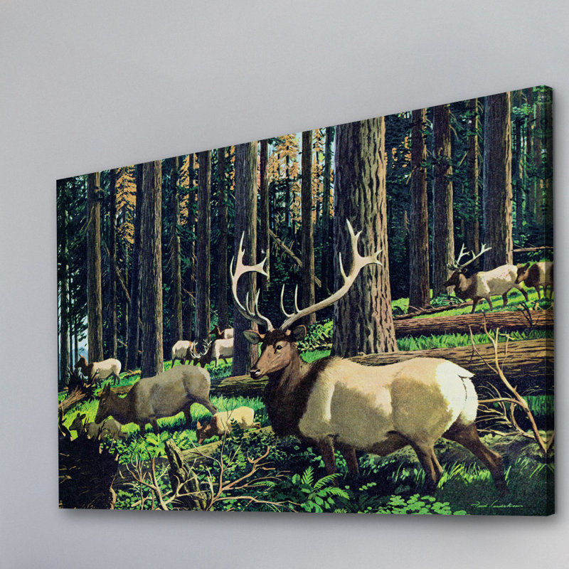 Wrapped Canvas Print, 101cm H x 152cm W x 3.81cm D