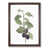 Walnut Framed selected