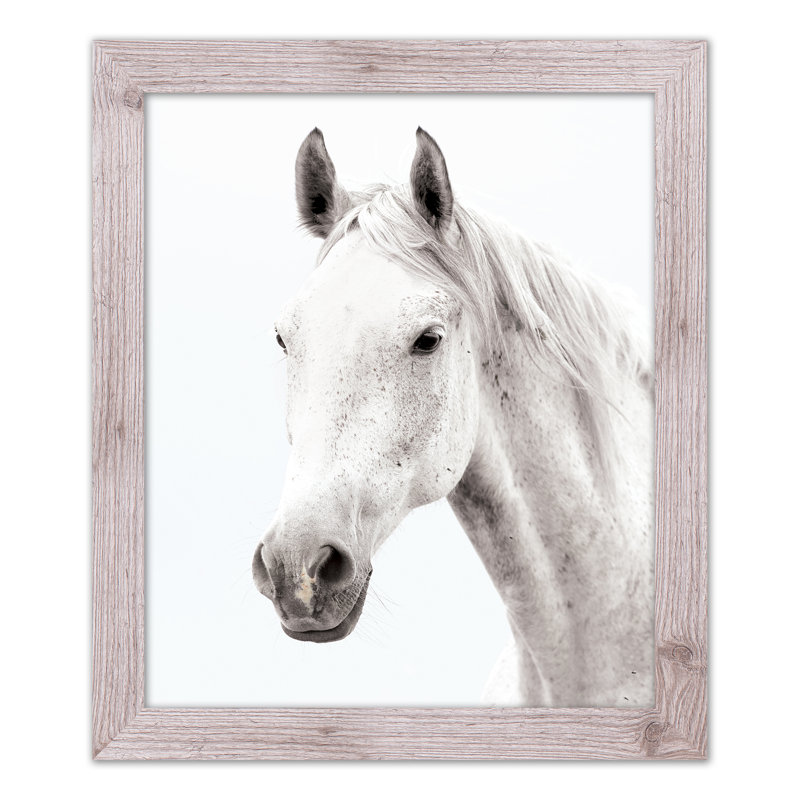 «White Horse», reproduction encadrée, Blanc, H 24 po x l 20 po x P 0,75 po