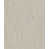 Béton taupe