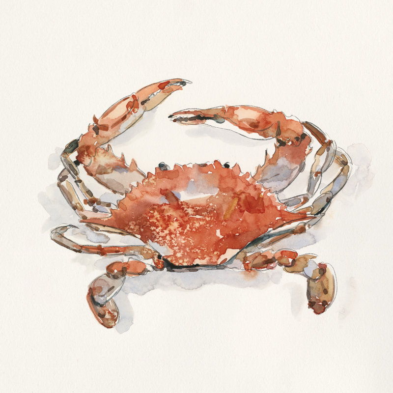Crusty Crab II by Emma Caroline - Wrapped Canvas Painting, 30cm H x 30cm W x 3.8cm D
