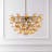 Maroney Glass Globe Chandelier