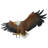 Freedom's Pride Eagle Wall Sculpture