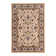 Oriental Indoor Rug