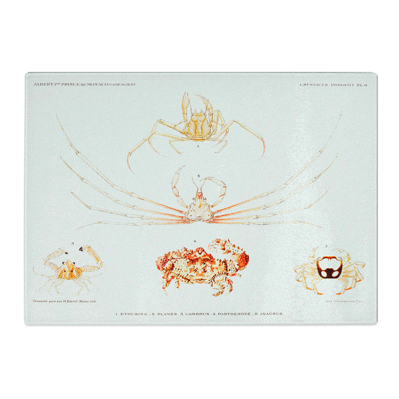 Tempered Glass Crab Varieties by Albert I Chopping Board, 39 cm x 28.5 cm