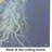 Free Fall Jellyfish Glass Cutting Board