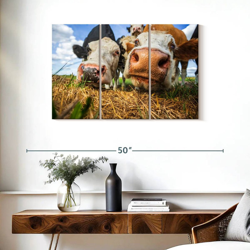 Vaches curieuses Brampt, H 24 po x l 38 po