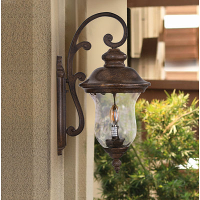 Lanterne murale d'extérieur rustique avec col de cygne 2 lumières et verre ondulé, bronze