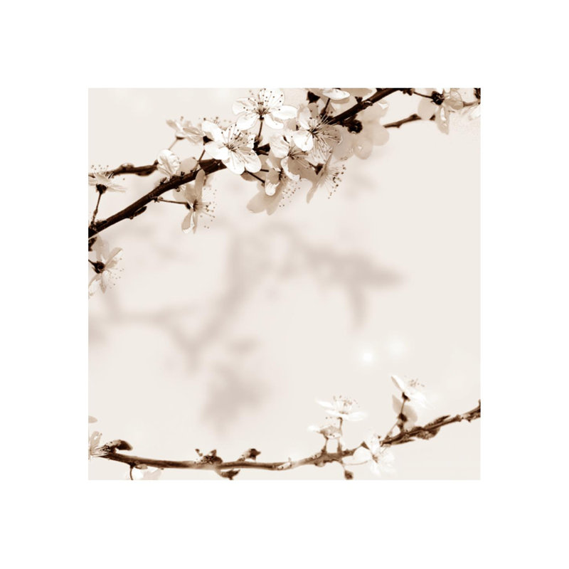 Sakura III par Sofia Fox - photographie, Extérieur, H 24 po x l 24 po x P 1,5 po