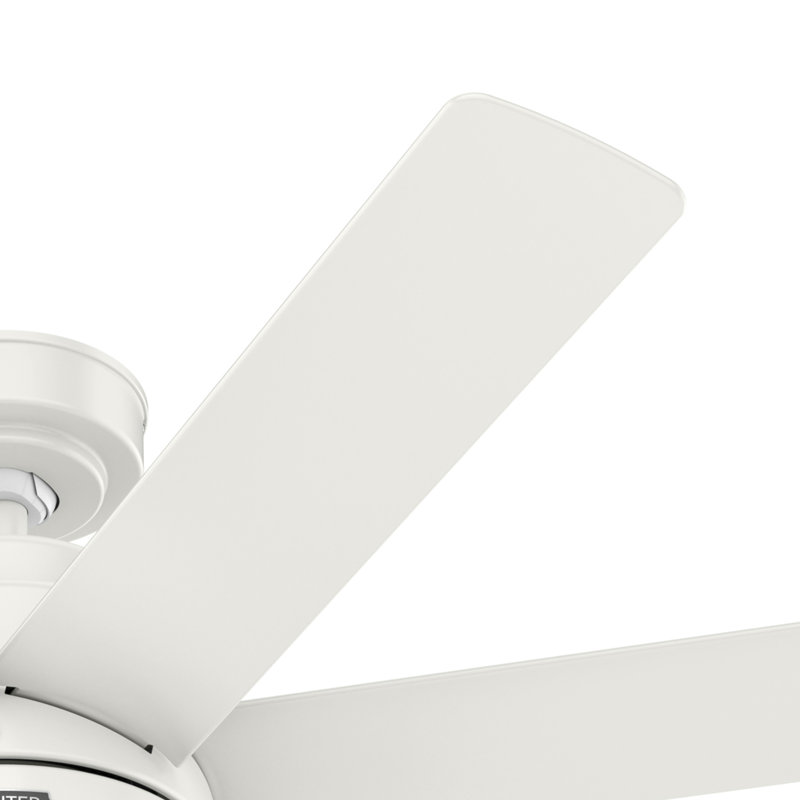 52" Brazos ENERGY STAR® 7-Blade Standard Ceiling Fan with Remote Control and LED Light Kit Included, White