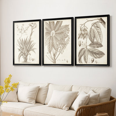 Sépia plantes exotiques IV - Toile tendue avec châssis sur mesure - 3 pièces