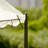101.2" W x 157.5" D Canopy