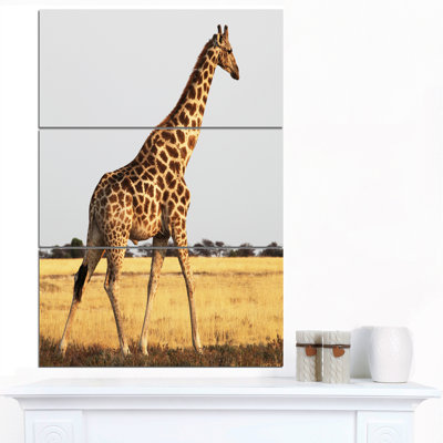 «Single Giraffe in Afrique Walking», ensemble de 3 reproductions de photos sur toiles tendues