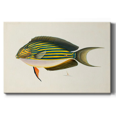 Tropical Fish Collection I-Gallery Wrapped Canvas