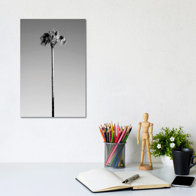 Palm Tree by Philippe Hugonnard - Wrapped Canvas Print